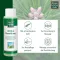 ALLGÄUER LATSCHENK. Linimento extra forte de Arnica, 250 ml