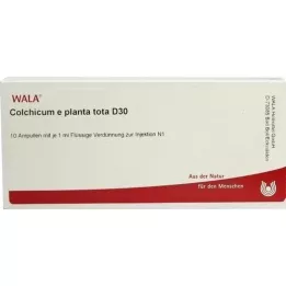 COLCHICUM E planta tota D 30 ampolas, 10X1 ml