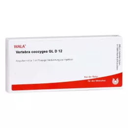 VERTEBRA coccygea GL D 12 ampolas, 10X1 ml