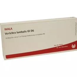 VERTEBRA lumbalis GL D 6 ampolas, 10X1 ml