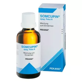 SOMCUPIN gotas de espaguete, 100 ml