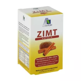 ZIMT KAPSELN 500 mg+Vitamina C+E, 120 unid