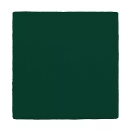 MULLKOMPRESSEN 10x10 cm 12x verde, 100 unidades