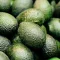 RAUSCH Champô Avocado Colour Protection, 200 ml
