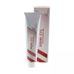 DERMI CYL Pomada para tratamento da pele, 100 g