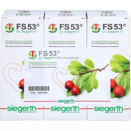 FS 53 Dr. Siegerth H líquido, 3X100 ml