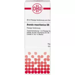 ARUNDO mauritanica D 6 diluição, 20 ml