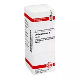 CARDIOSPERMUM Tintura-mãe, 20 ml