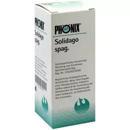 PHÖNIX SOLIDAGO mistura de espaguete, 50 ml