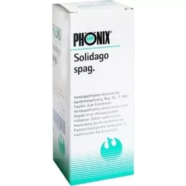 PHÖNIX SOLIDAGO mistura de espaguete, 100 ml