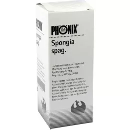 PHÖNIX SPONGIA mistura de espaguete, 50 ml