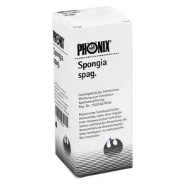 PHÖNIX SPONGIA mistura de espaguete, 50 ml