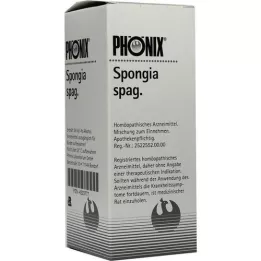 PHÖNIX SPONGIA mistura de espaguete, 100 ml