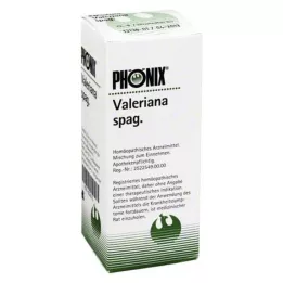 PHÖNIX VALERIANA mistura de espaguete, 100 ml