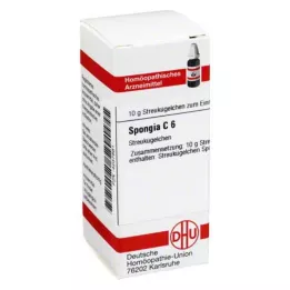 SPONGIA C 6 glóbulos, 10 g