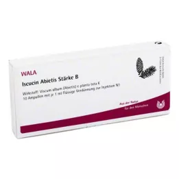 ISCUCIN Amido de abietis B ampolas, 10X1 ml