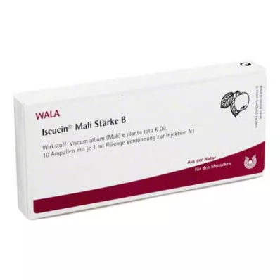 ISCUCIN Amido de mali B ampolas, 10X1 ml ISCUCIN Amido de mali B ampolas, 10X1 ml