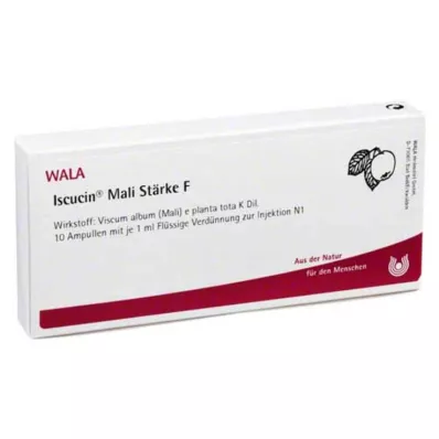 ISCUCIN Amido de mali F ampolas, 10X1 ml ISCUCIN Amido de mali F ampolas, 10X1 ml