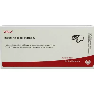 ISCUCIN Amido de mali G ampolas, 10X1 ml ISCUCIN Amido de mali G ampolas, 10X1 ml