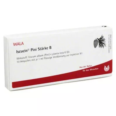 ISCUCIN Ampolas de pini amido B, 10X1 ml