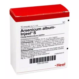 ARSENICUM ALBUM INJEEL S Ampolas, 10 unid