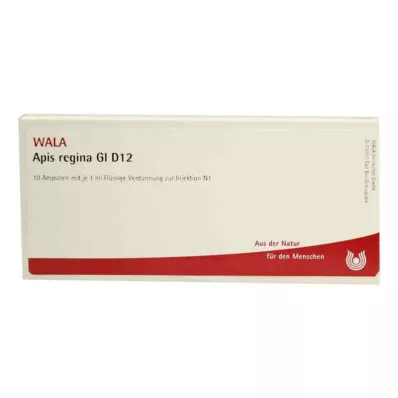 APIS REGINA GL D 12 ampolas, 10X1 ml
