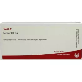 FEMUR GL D 5 ampolas, 10X1 ml