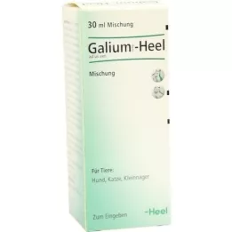 GALIUM COMP.-Heel e gotas veterinárias, 30 ml