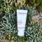ALOE VERA CREME meio sem perfume, 30 ml