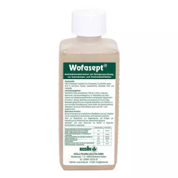 WOFASEPT Desinfetante de instrumentos e superfícies, 250 ml