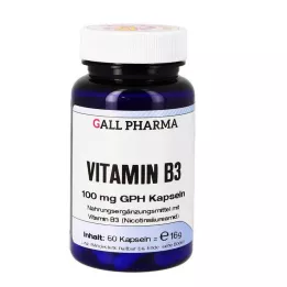 VITAMIN B3 100 mg GPH Cápsulas, 60 Cápsulas