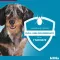 KILTIX Coleira para cães grandes, 1 unidade