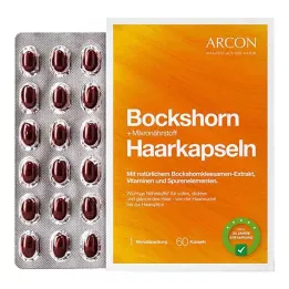 BOCKSHORN+Cápsulas capilares de micronutrientes Tisane plus, 60 unid