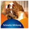 VOLTAREN Dolo Liquid 25 mg cápsulas moles, 10 unid