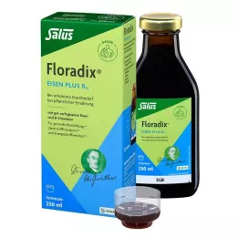 FLORADIX Tónico vegan Iron plus B12, 250 ml