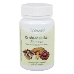 REISHI-MAITAKE-Cápsulas de Shitake boas para células saudáveis, 60 unid