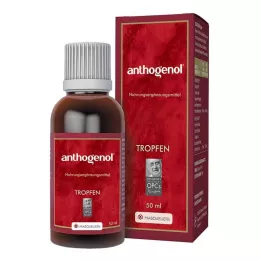 ANTHOGENOL Masquelier OPC Gotas, 50 ml