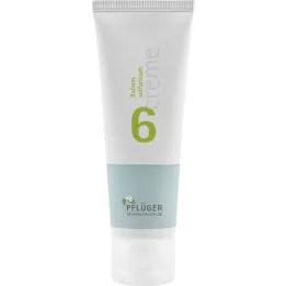 BIOCHEMIE Pflüger 6 Creme de sulfúrico de potássio, 75 g