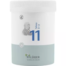 BIOCHEMIE Pflüger 11 Silicea D 12 Comprimidos, 1000 Cápsulas