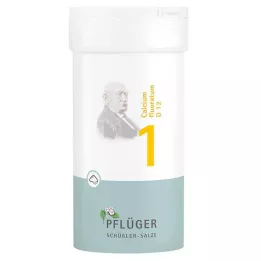 BIOCHEMIE Pflüger 1 Calcium fluoratum D 12 pó, 100 g