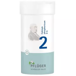 BIOCHEMIE Pflüger 2 Calcium phosphoricum D 6 Powder, 100 g