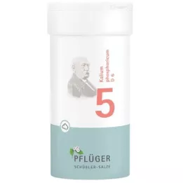 BIOCHEMIE Pflüger 5 Potassium phosphoricum D 6 pó, 100 g