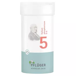BIOCHEMIE Pflüger 5 Potassium phosphoricum D 6 pó, 100 g