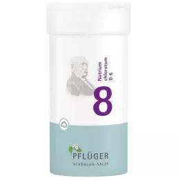 BIOCHEMIE Pflüger 8 Natrium chloratum D 6 pó, 100 g