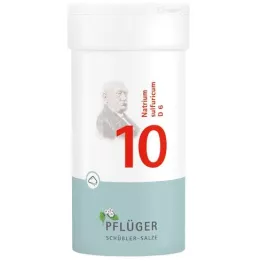 BIOCHEMIE Pflüger 10 Natrium sulfuricum D 6 pó, 100 g