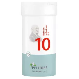 BIOCHEMIE Pflüger 10 Natrium sulfuricum D 6 pó, 100 g