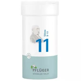 BIOCHEMIE Pflüger 11 Silicea D 12 em pó, 100 g