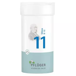BIOCHEMIE Pflüger 11 Silicea D 12 em pó, 100 g