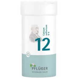 BIOCHEMIE Pflüger 12 Calcium sulfuricum D 6 pó, 100 g