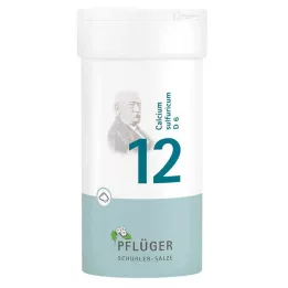 BIOCHEMIE Pflüger 12 Calcium sulfuricum D 6 pó, 100 g